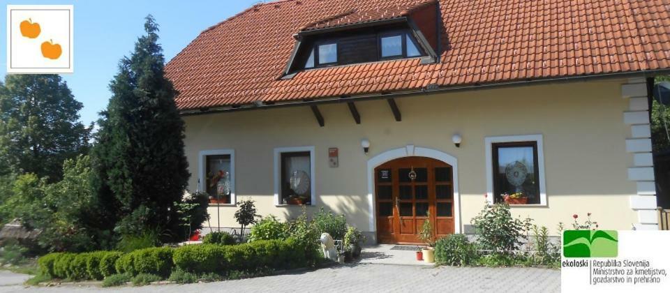 Country House Slemenšek Vojnik Buitenkant foto